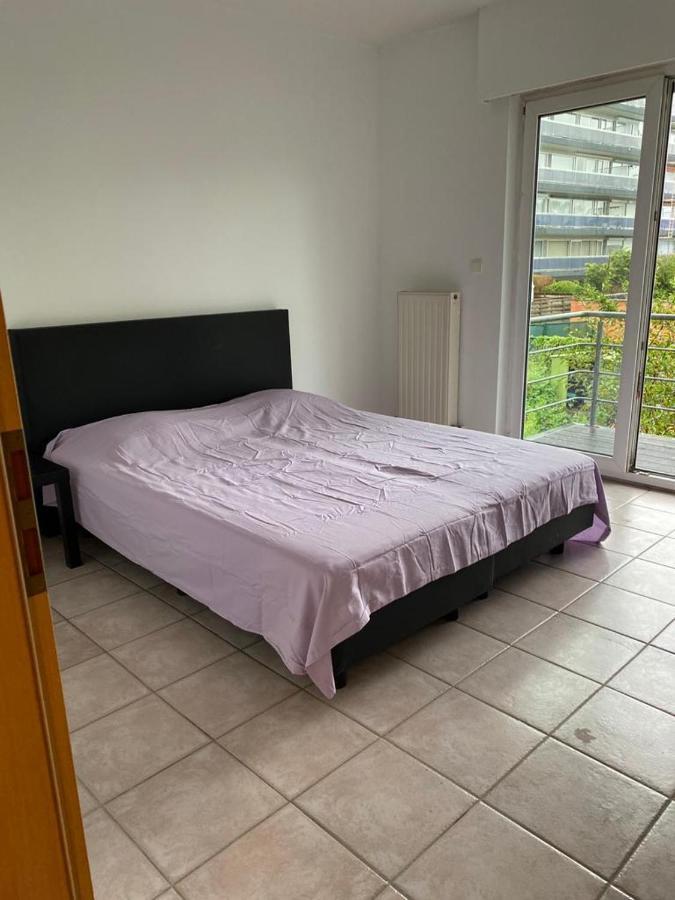 אנטוורפן Superbe Appartement Lumineux Et Spacieux מראה חיצוני תמונה